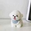 Cute Plush Puppy Doll